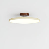 Drift Adjustable Ceiling Lamp