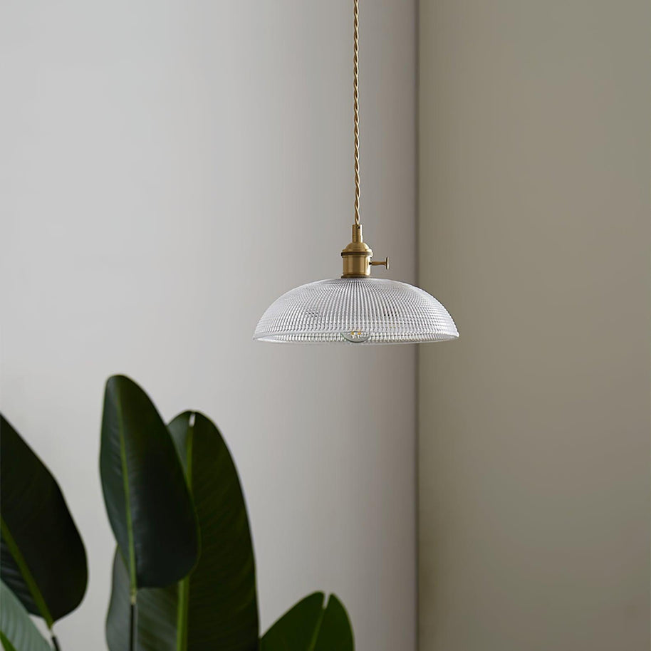 Pendant light with a ribbed glass dome shade and a gold-toned lamp holder, unlit, hanging beside leafy plants on a pale wall.