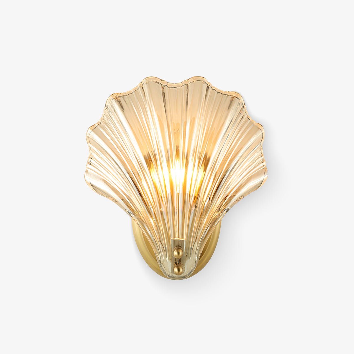 Coquille Brass Shell Wall Light
