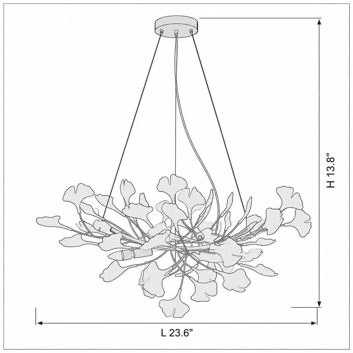Dimension drawing of the Gilded Ginkgo Leaf Chandelier with published measurements labelled.